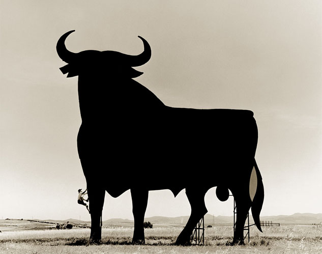 LA MANCHA BULL